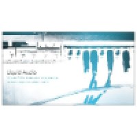 Liquid Audio DJs Logo