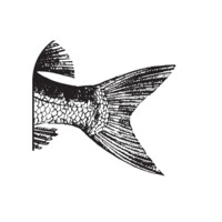 Fishtales Seafood Strategy Logo