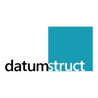 Datumstruct Tech (S) Pte Ltd Logo