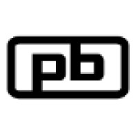 Professional LLC Logo