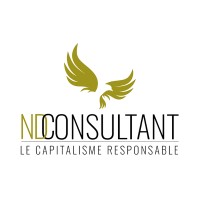 ND Consultant Logo