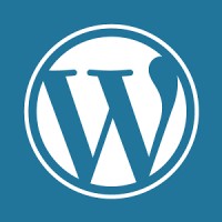 Wrdpress Theme Customization Logo