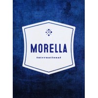 MORELLA INTERNATIONAL SCHOOL Logo