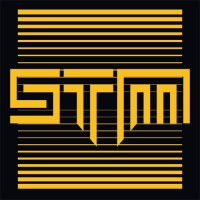 STM Cyber Logo