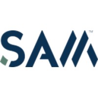 Surveying And Mapping, LLC Logo