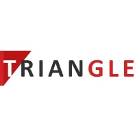 Triangle India Logo