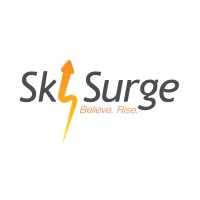 SkySurge Business Solutions - SAP SMB Solutions | Microsoft Partner Logo