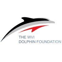 WVI Dolphin Foundation Logo