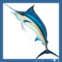 Sale Fish Logo
