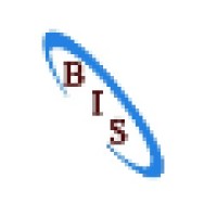 The B.I.S. Group Logo