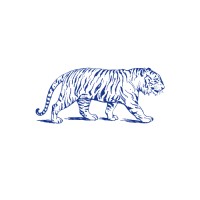 Blue Tiger Marketing Ltd Logo