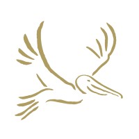 Brown Pelican WiFi Logo