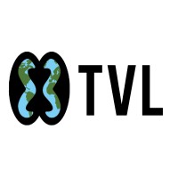 The Village Link Logo