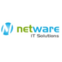 Netware IT Solutions Logo