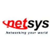 Netsys - National Enhance Technology Corporation Logo