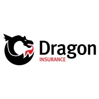 Dragon Insurance Network Logo