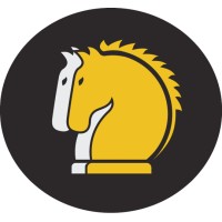 2Stallions Digital Marketing Agency Logo