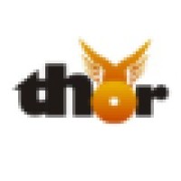 Thor IT Security Logo