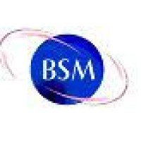 BSM Business Systems Management Logo