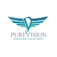 Pure Vision Infratech Pvt Ltd Logo