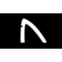 White Fin Logo