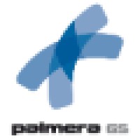 Palmera Global Systems Logo