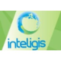 Inteligis/LSI Logo