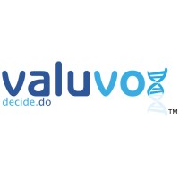 Valuvox Business Solutions Logo