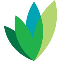 Minerva BC Logo