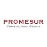 Promesur Consulting Group - Oficina Paraguay Logo