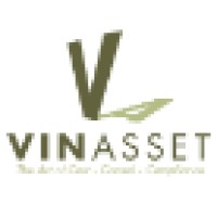 VinAsset Logo