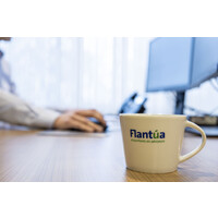 Flantúa Accountants en Adviseurs Logo