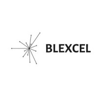 BLEXCEL Logo