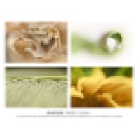 Daniel Sroka Designs LLC Logo