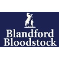 Blandford Bloodstock Ltd Logo