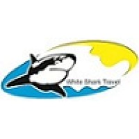 White Shark Travel Logo