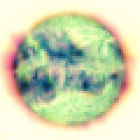 Cyberhippietotalism Logo