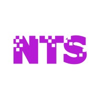 Nye Technical Services, LLC Logo