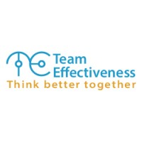 Team Effectiveness Logo