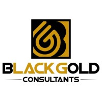 BLACKGOLD CONSULTANTS LLC Logo