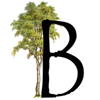 Birch Accounting & Tax Services Ltd. Logo