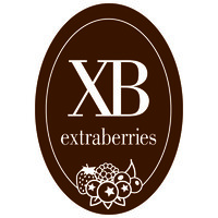 EXTRABERRIES Logo