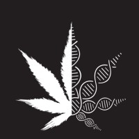 Mary Jane Marketer Logo