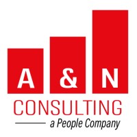 A&N Consulting Group, Inc. Logo