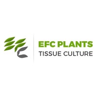 Egyptian French Company for Plant Tissue Culture S.A.E Logo