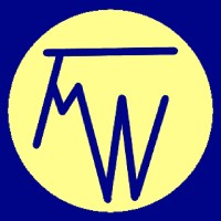 TRANSFER MADRID WORLD Logo