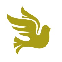 Pure Insights International Logo