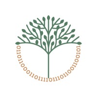 Beyond Binary Consulting Logo
