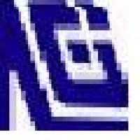 Nasir Group of Industries Logo