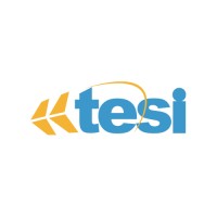 TESI Aeronautics Logo